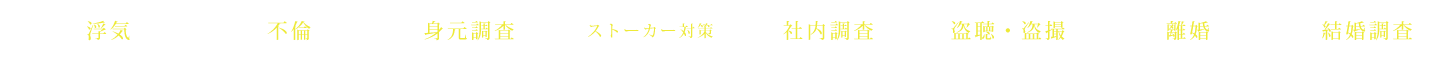 浮気 不備 身元調査 ストーカー対策 社内調査 盗聴・盗撮 離婚 結婚調査