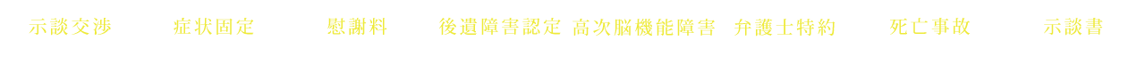 示談交渉 症状固定 慰謝料 後遺障害認定 高次脳機能障害 弁護士特約 死亡事故 示談書