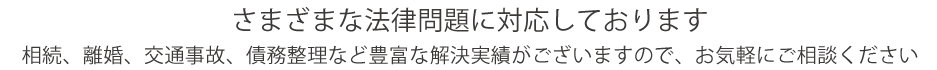 さまざまな法律問題に対応しております
相続、離婚、交通事故、債務整理など豊富な解決実績がございますので、お気軽にご相談ください