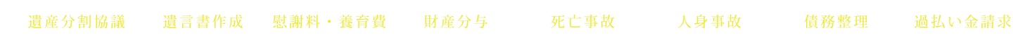 遺産分割協議 遺言書作成 慰謝料・養育費 財産分与 死亡事故 人身事故 債務整理 過払い金請求