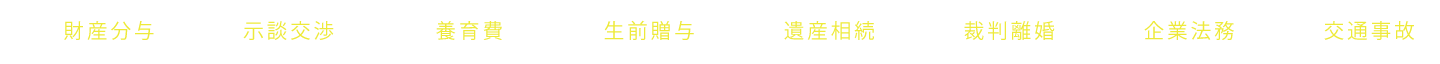 財産分与 示談交渉 養育費 生前贈与 遺産相続 裁判離婚 企業法務 交通事故