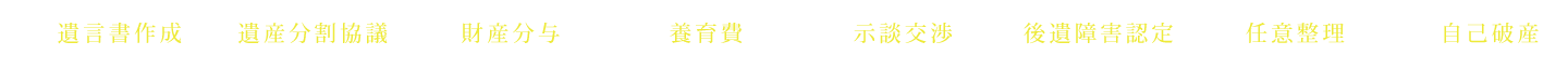 遺言書作成 遺産分割協議 財産分与 養育費 示談交渉 後遺障害認定 任意整理 自己破産