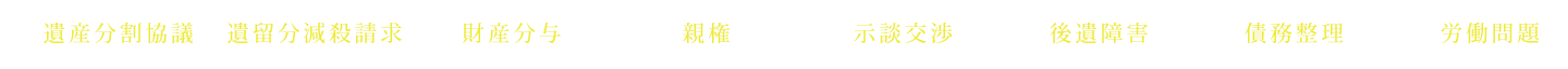 遺産分割協議 遺留分減殺請求 財産分与 親権 示談交渉 後遺障害 債務整理 労働問題
