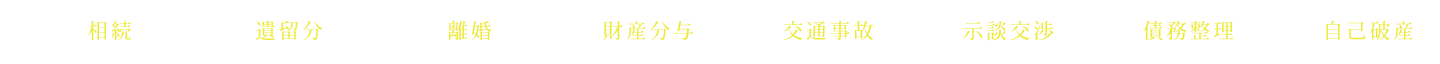相続 遺留分 離婚 財産分与 交通事故 示談交渉 債務整理 自己破産