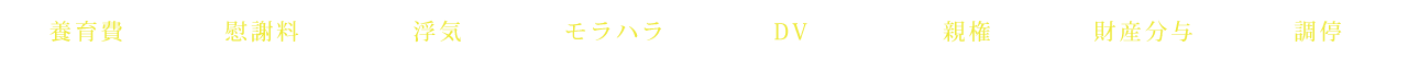 養育費 慰謝料 浮気 モラハラ DV 親権 財産分与 調停