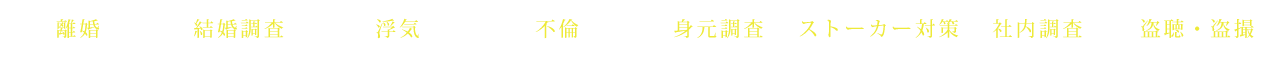 浮気 不備 身元調査 ストーカー対策 社内調査 盗聴・盗撮 離婚 結婚調査