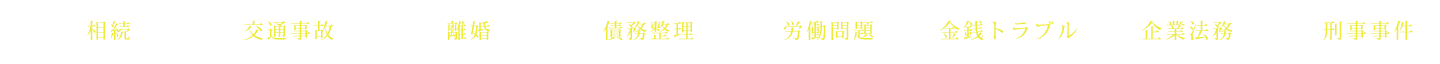 相続 交通事故 離婚 債務整理 労働問題 金銭トラブル 企業法務 刑事事件
