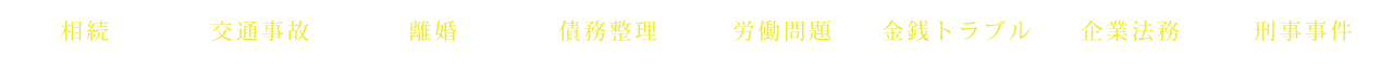 相続 交通事故 離婚 債務整理 労働問題 金銭トラブル 企業法務 刑事事件